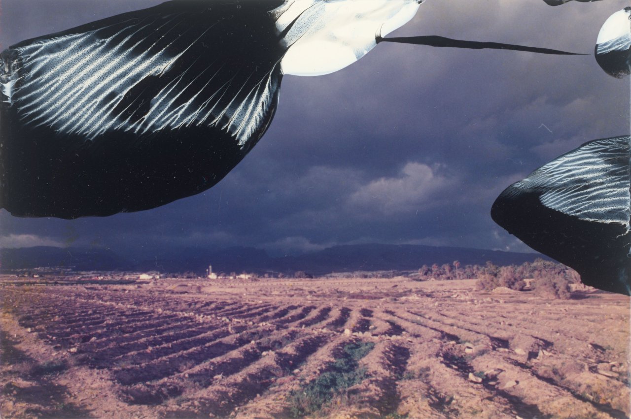 This picture shows the following artwork: Gerhard Richter. ”8.2.92”. 1992.