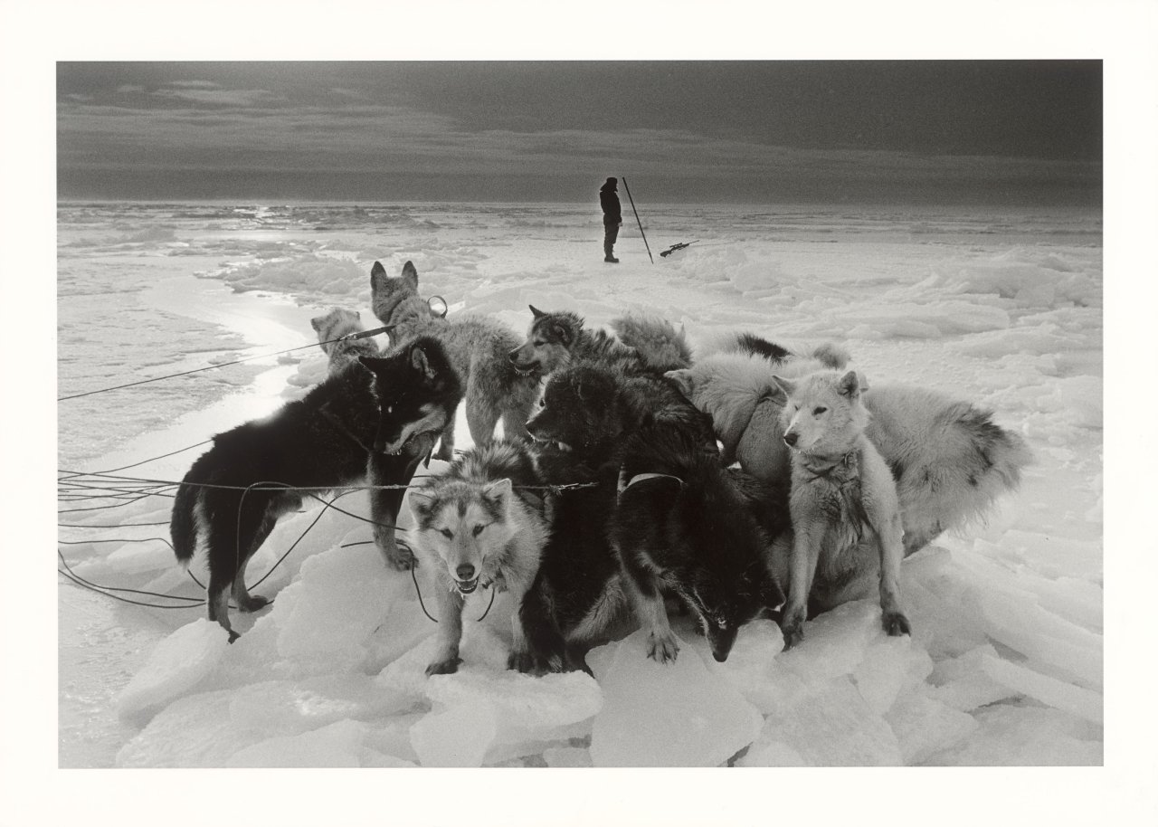 Auf diesem Bild ist das folgende Kunstwerk zu sehen: Ragnar Axelsson. „Hunter – Greenland“. 1995.