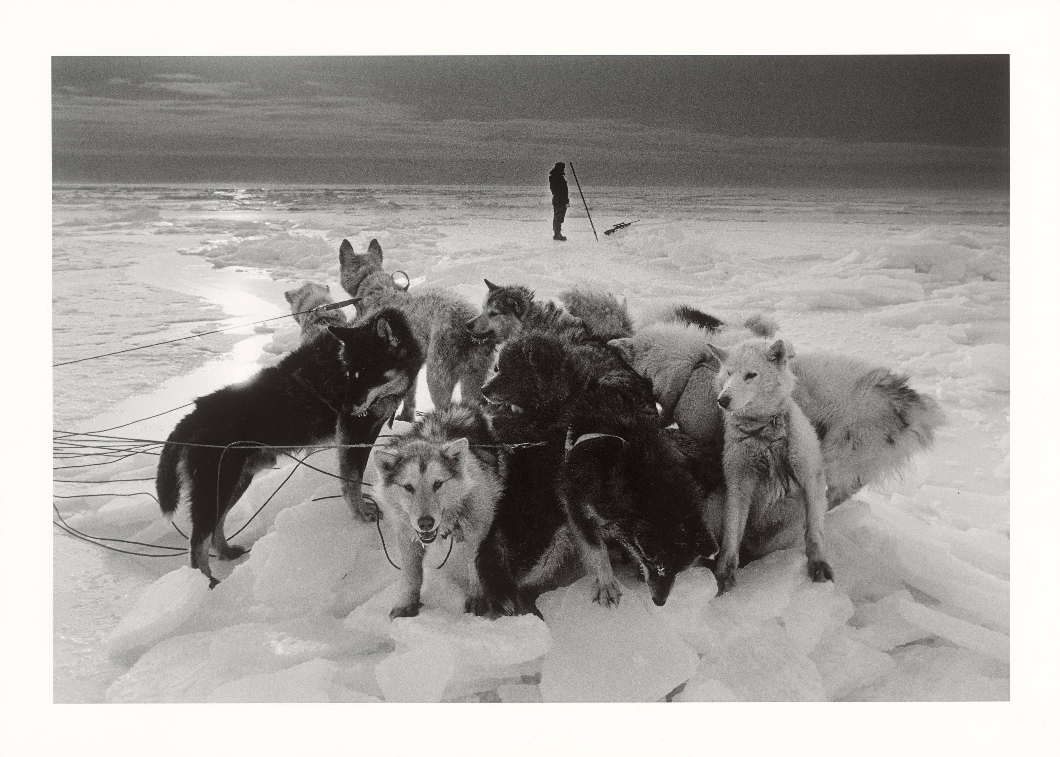 Auf diesem Bild ist das folgende Kunstwerk zu sehen: Ragnar Axelsson. „Hunter – Greenland“. 1995.