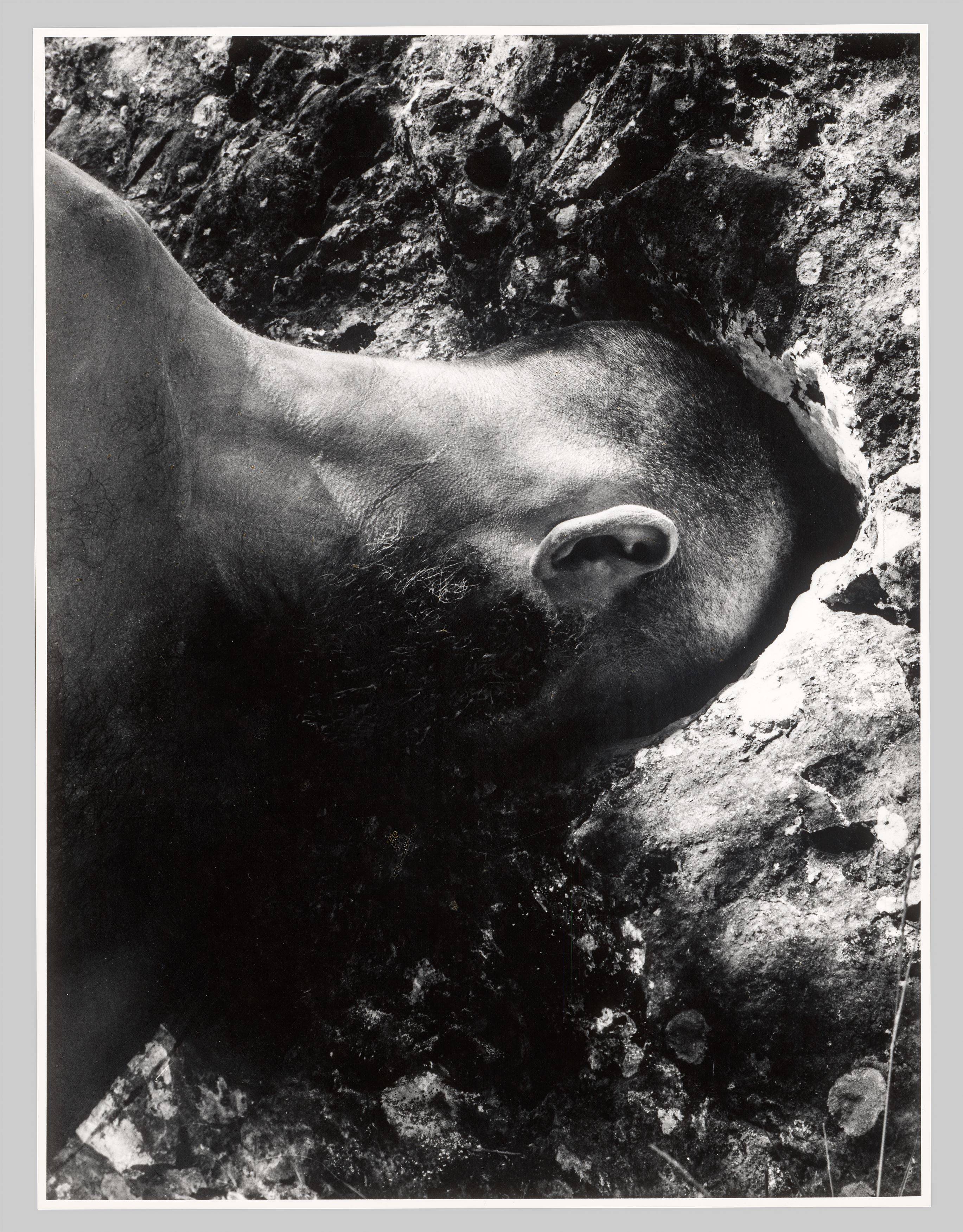 This picture shows the following artwork: Dieter Appelt. From the Tableau ”Oppedette”. 1980.