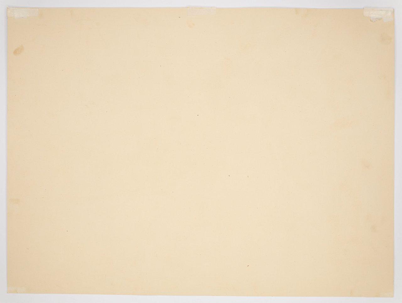 Auf diesem Bild ist das folgende Kunstwerk zu sehen: Ernst Ludwig Kirchner. Baumstumpf vor Arvengruppe. Wohl vor 1919.