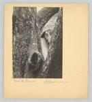 This picture shows the following artwork: Raoul Hausmann. ”Tronc de Pommier”, Limoges. 1950.