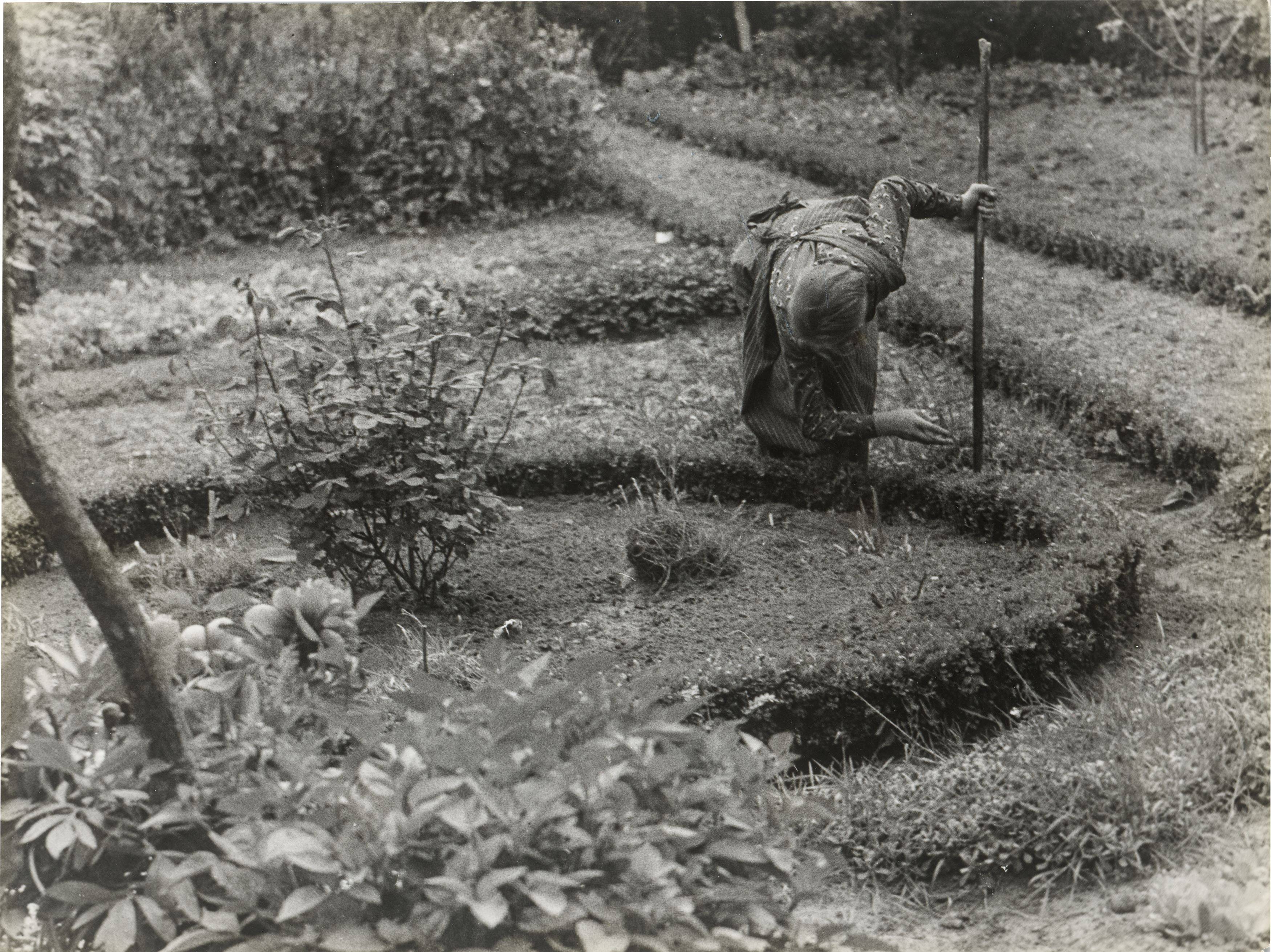 This picture shows the following artwork: Raoul Hausmann. ”The Gardener”. 1950.