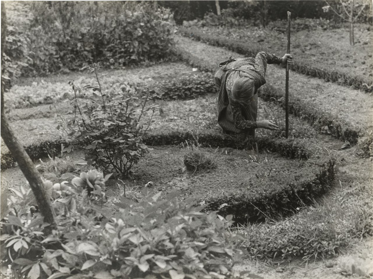 This picture shows the following artwork: Raoul Hausmann. ”The Gardener”. 1950.