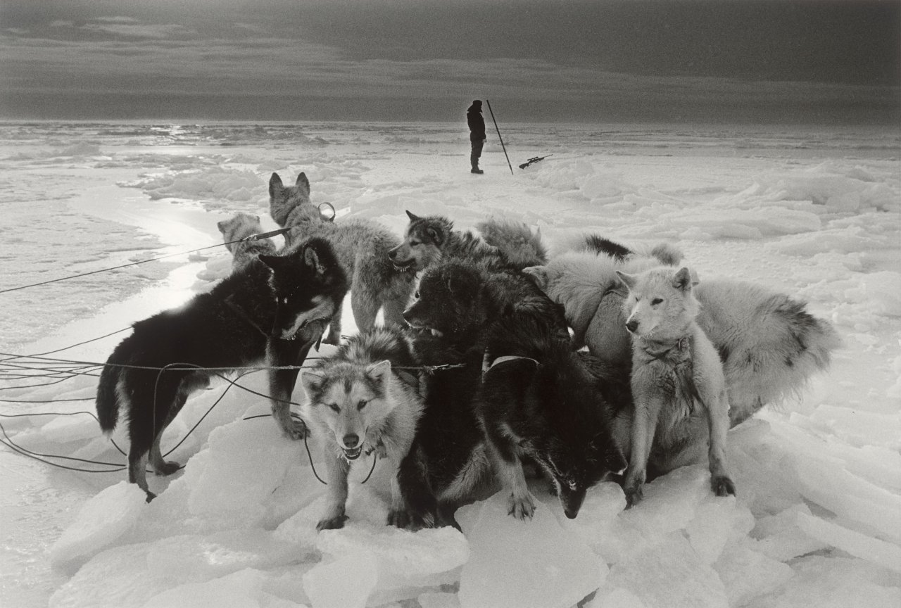 Auf diesem Bild ist das folgende Kunstwerk zu sehen: Ragnar Axelsson. „Hunter – Greenland“. 1995.