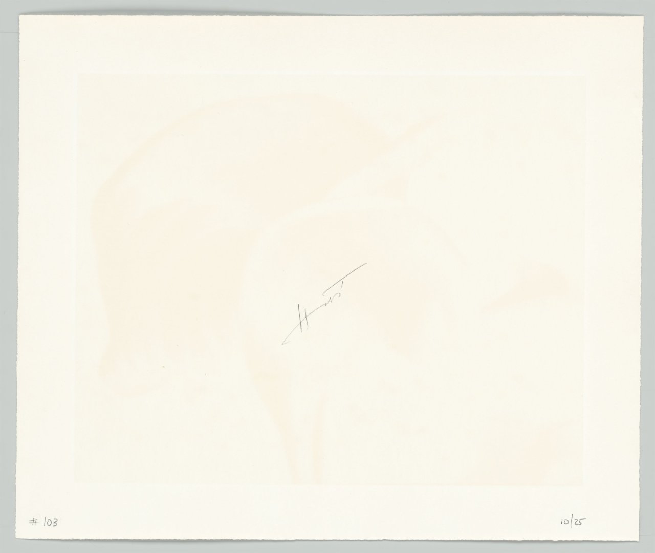 This picture shows the following artwork: Horst P. Horst (i.e. Horst Paul Albert Bohrmann). Calla Aethiopica. 1945.