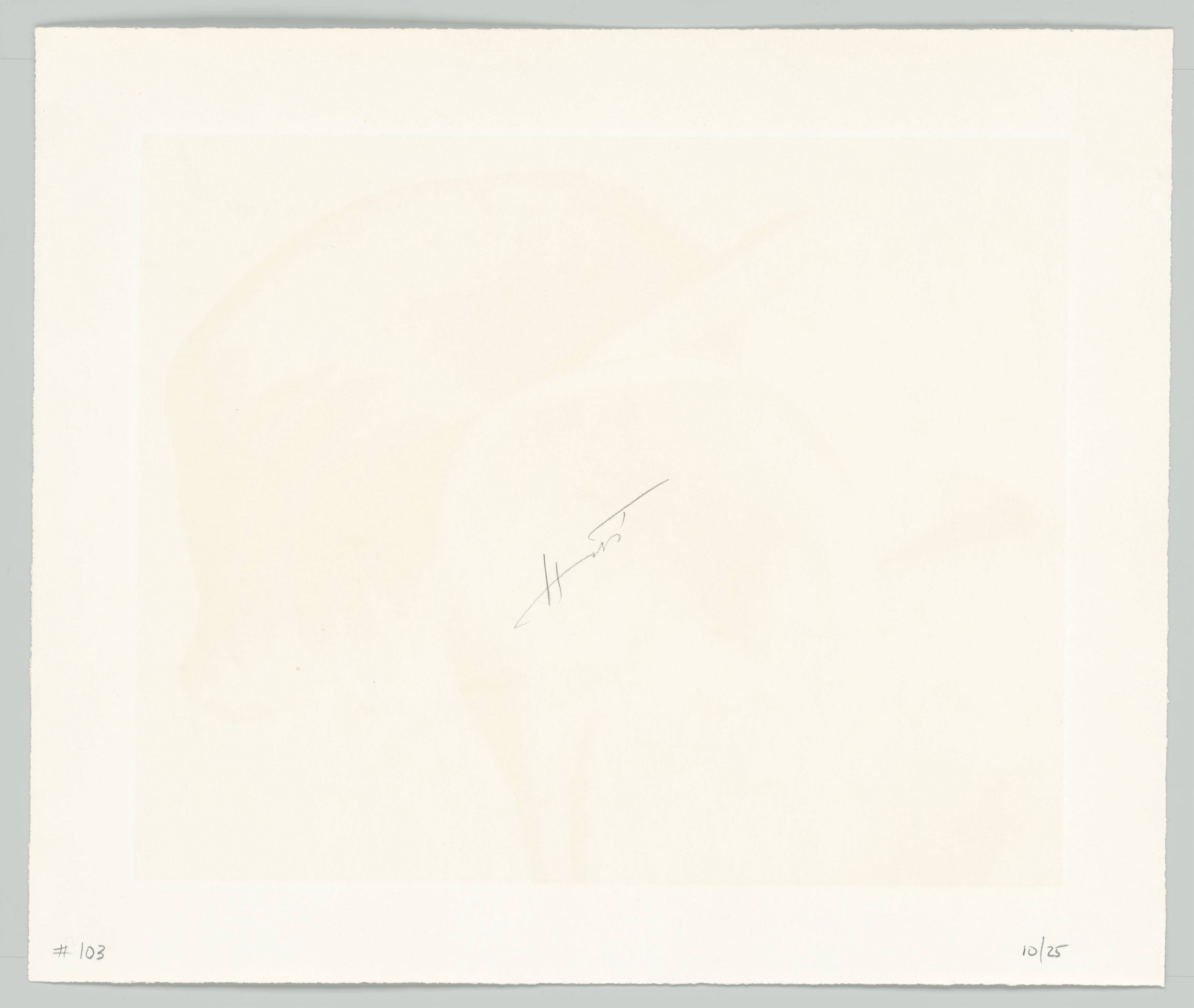 This picture shows the following artwork: Horst P. Horst (i.e. Horst Paul Albert Bohrmann). Calla Aethiopica. 1945.