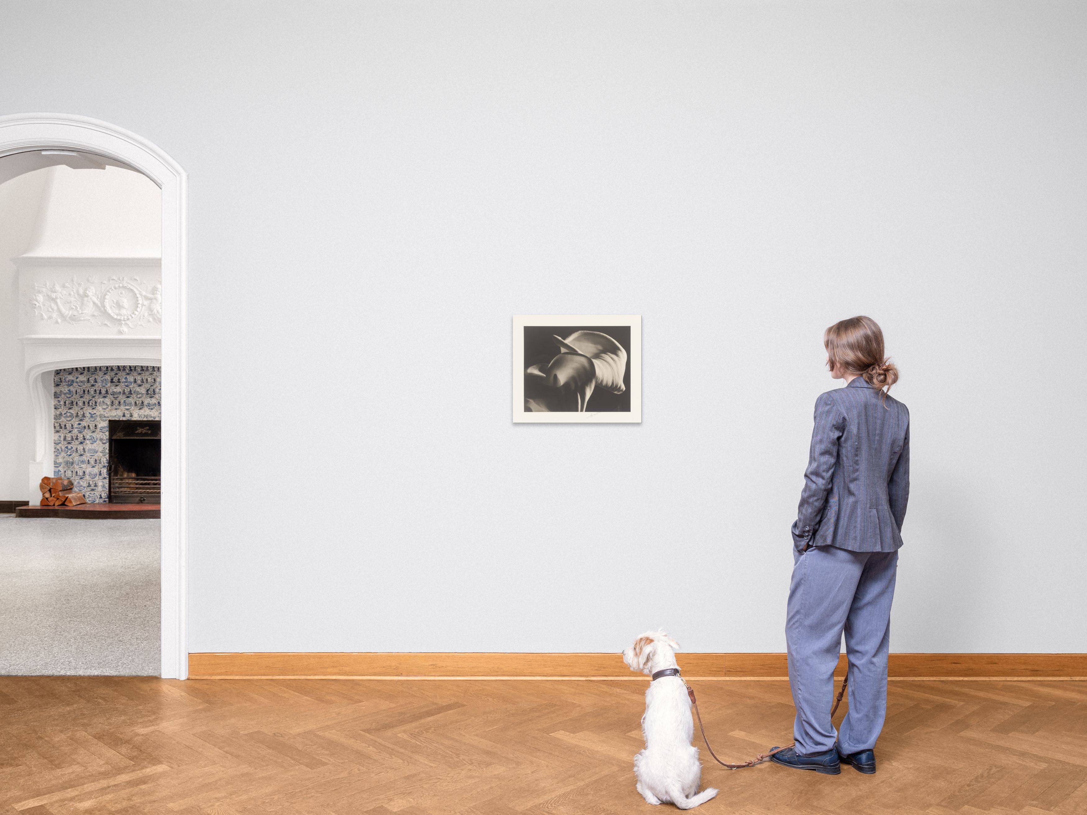 This picture shows the following artwork: Horst P. Horst (i.e. Horst Paul Albert Bohrmann). Calla Aethiopica. 1945.