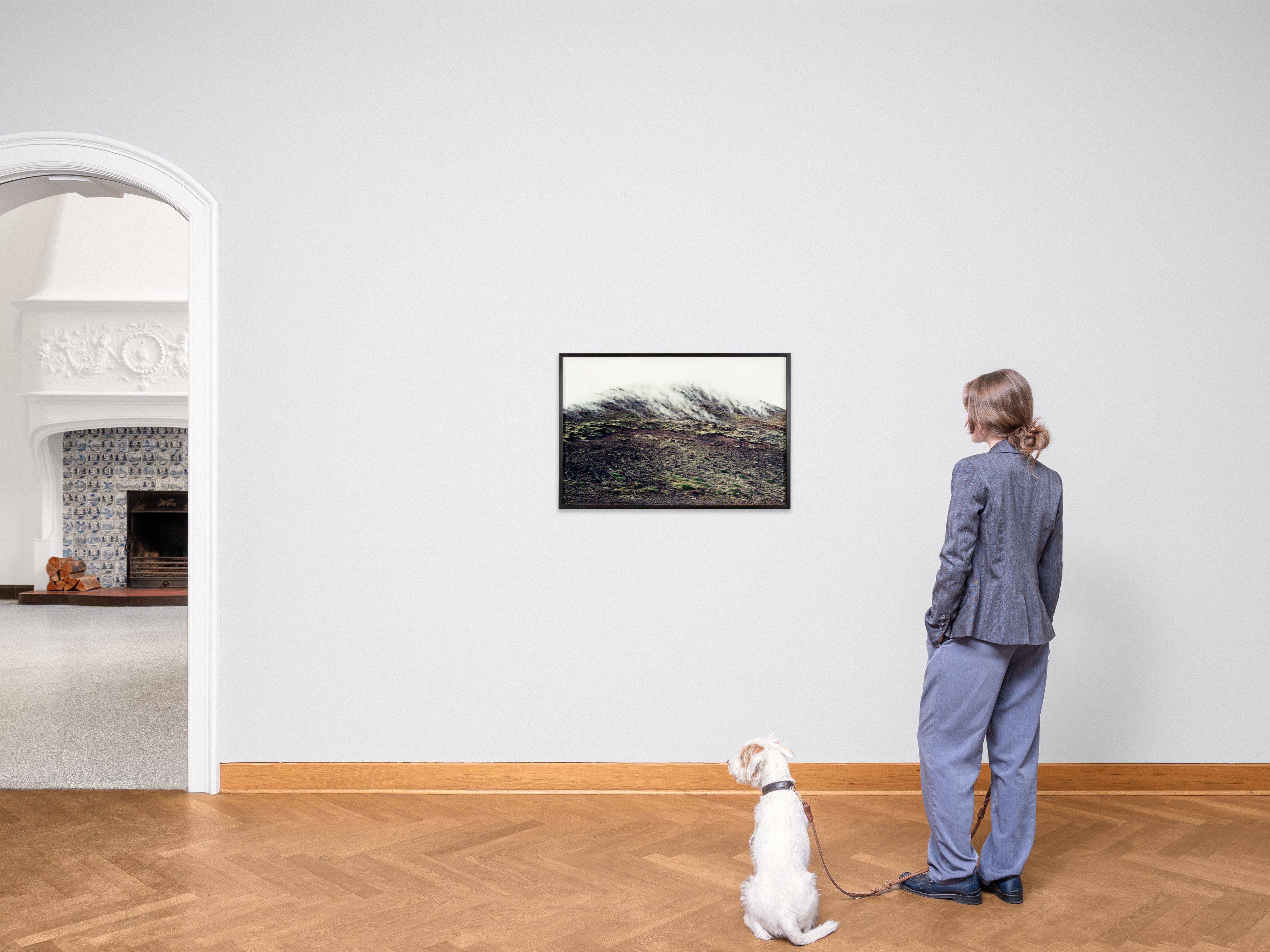 This picture shows the following artwork: Olafur Eliasson. From „Iceland Series