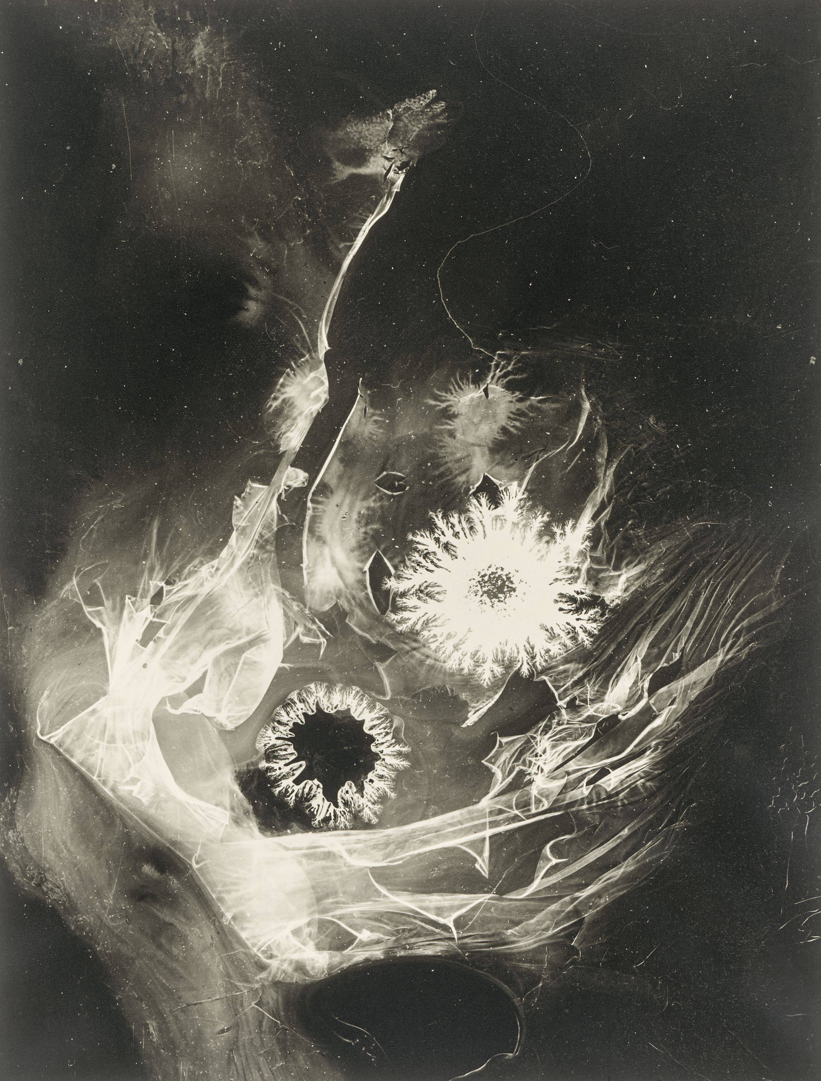 This picture shows the following artwork: Heinz Hajek-Halke. Heinz Hajek-Halke. Portfolio with 12 reprints from 1927–1960.