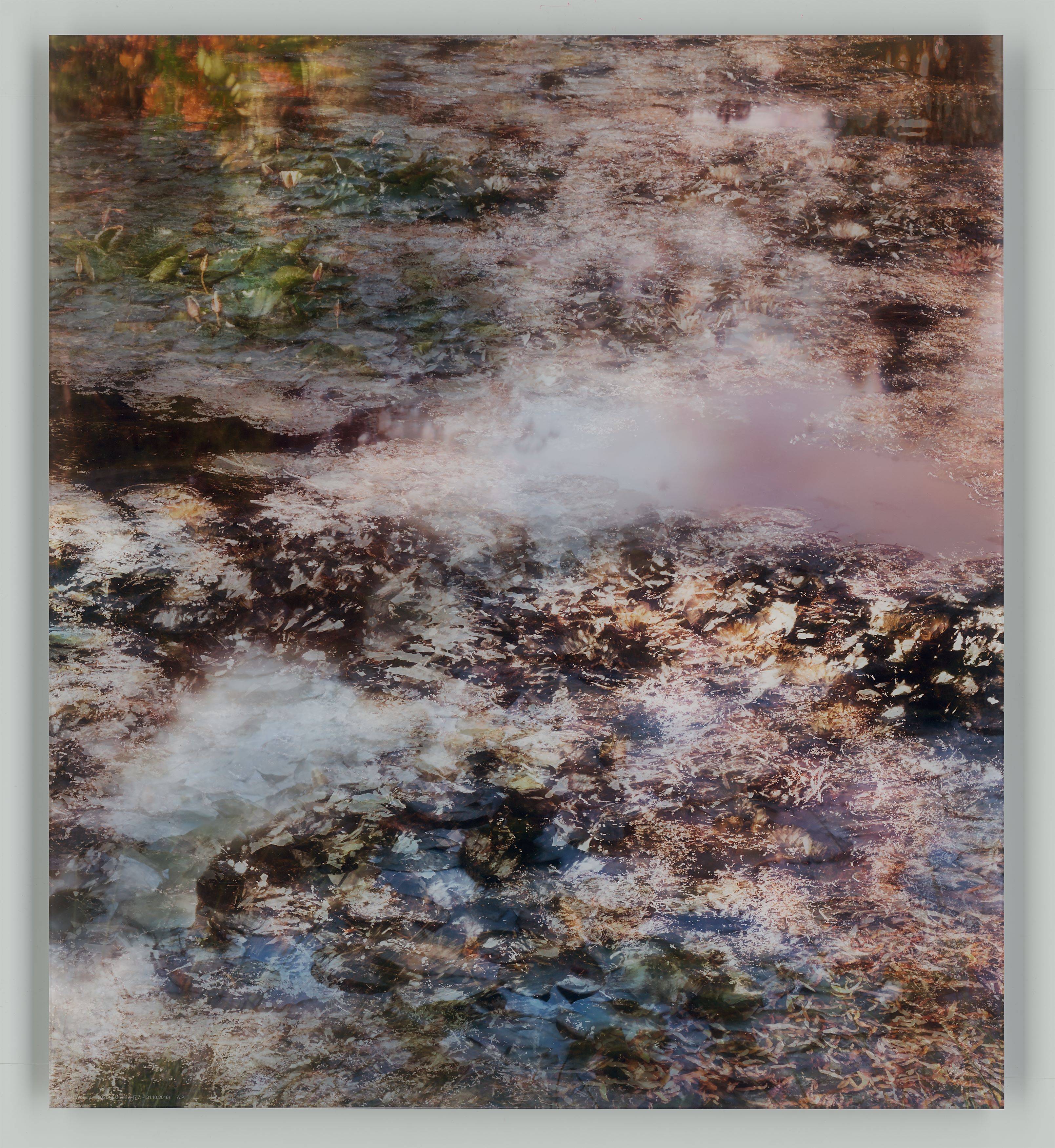 This picture shows the following artwork: Michael Wesely. ”Giverny (7.7.-31.10.2016)”.