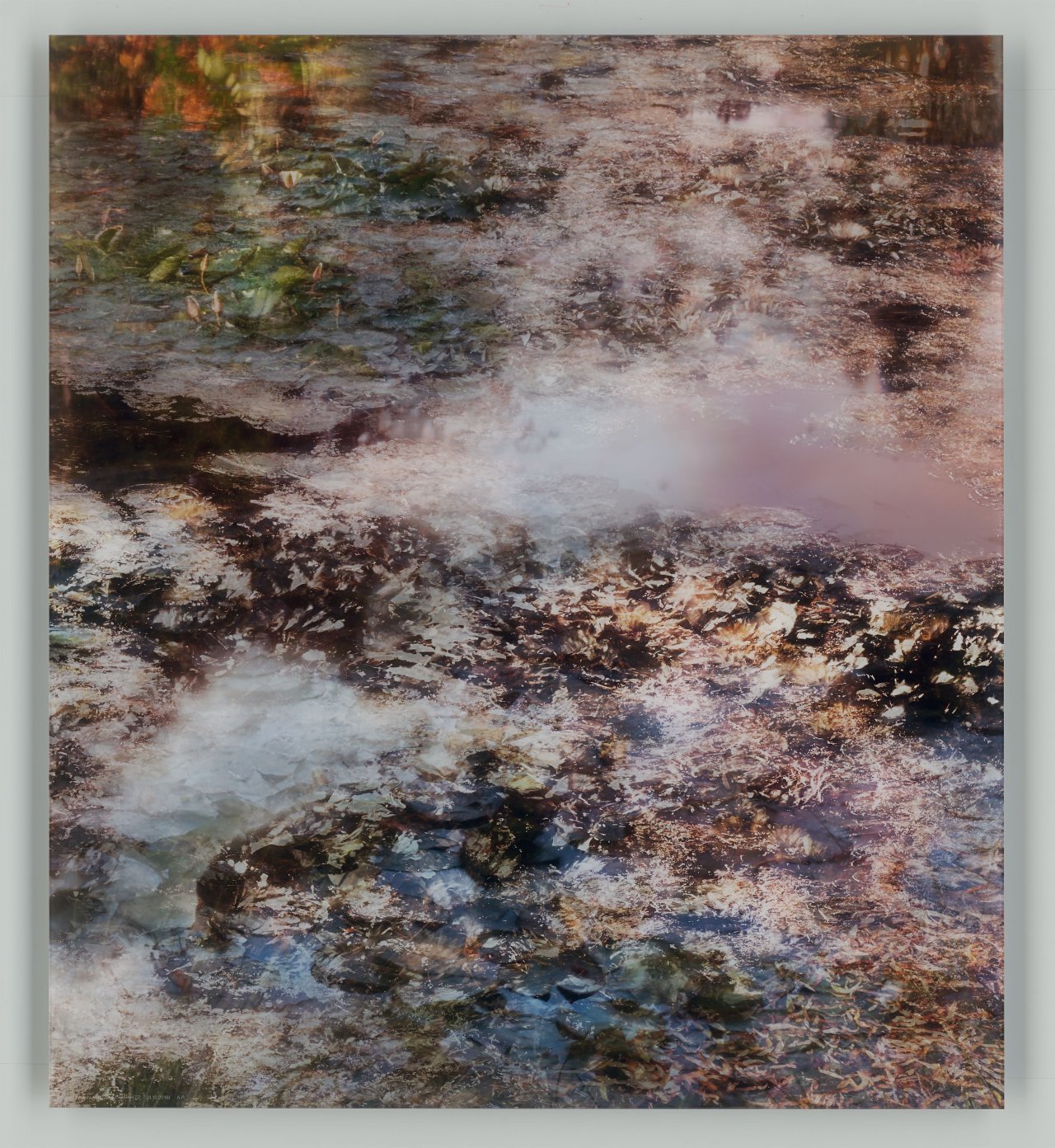 This picture shows the following artwork: Michael Wesely. ”Giverny (7.7.-31.10.2016)”.