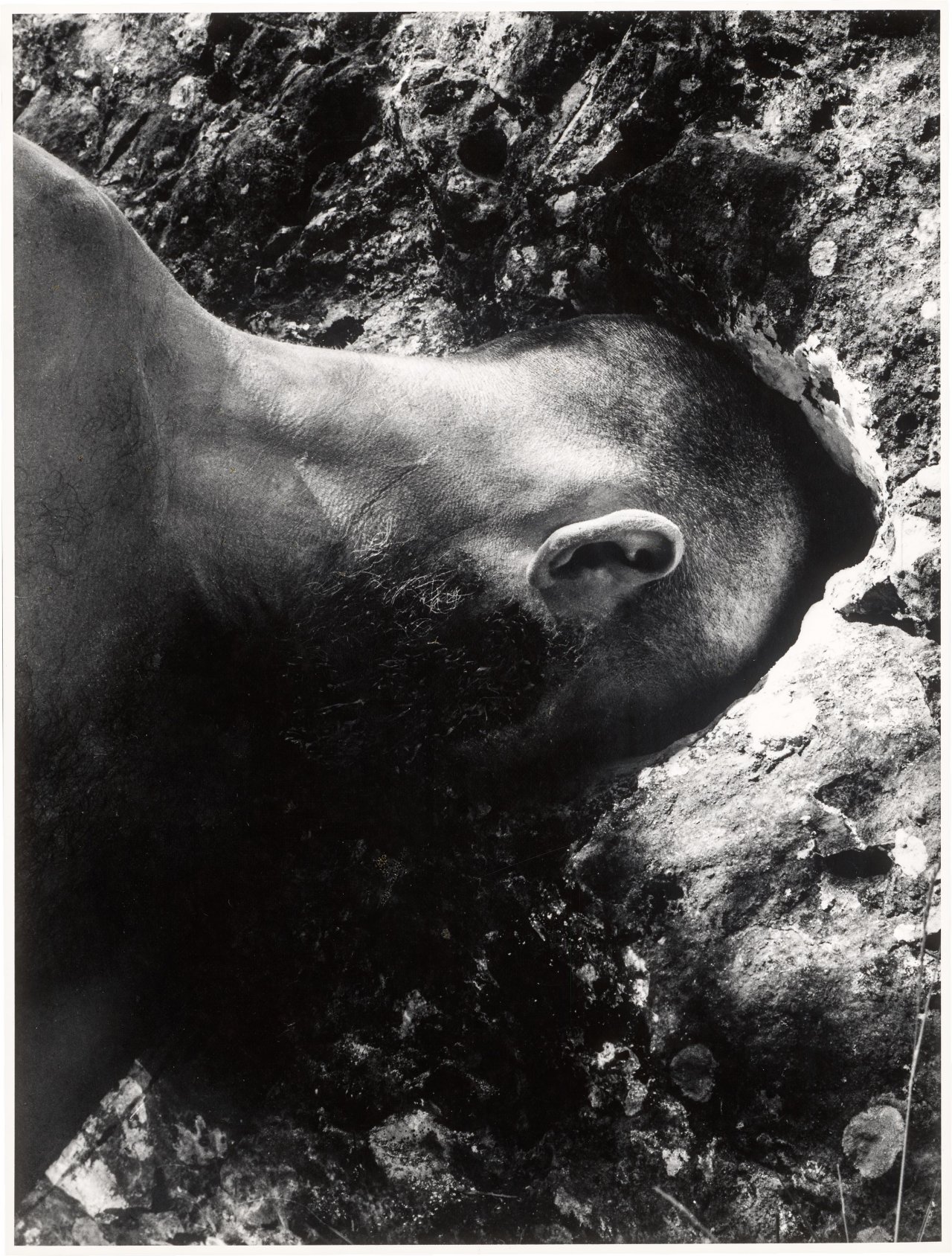 This picture shows the following artwork: Dieter Appelt. From the Tableau ”Oppedette”. 1980.