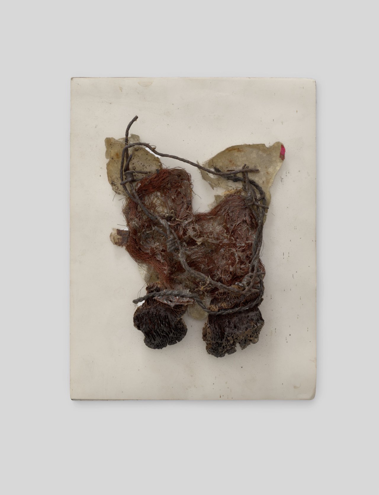 This picture shows the following artwork: Hermann Glöckner. Assemblage. 1978.
