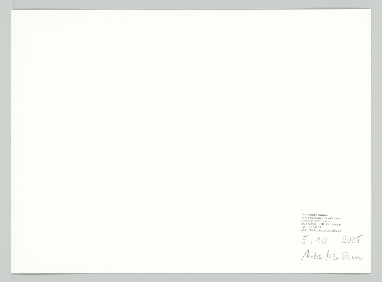 Auf diesem Bild ist das folgende Kunstwerk zu sehen: Bleicke Bleicken. Reiter in der Brandung, Kampen/Sylt. 1925.