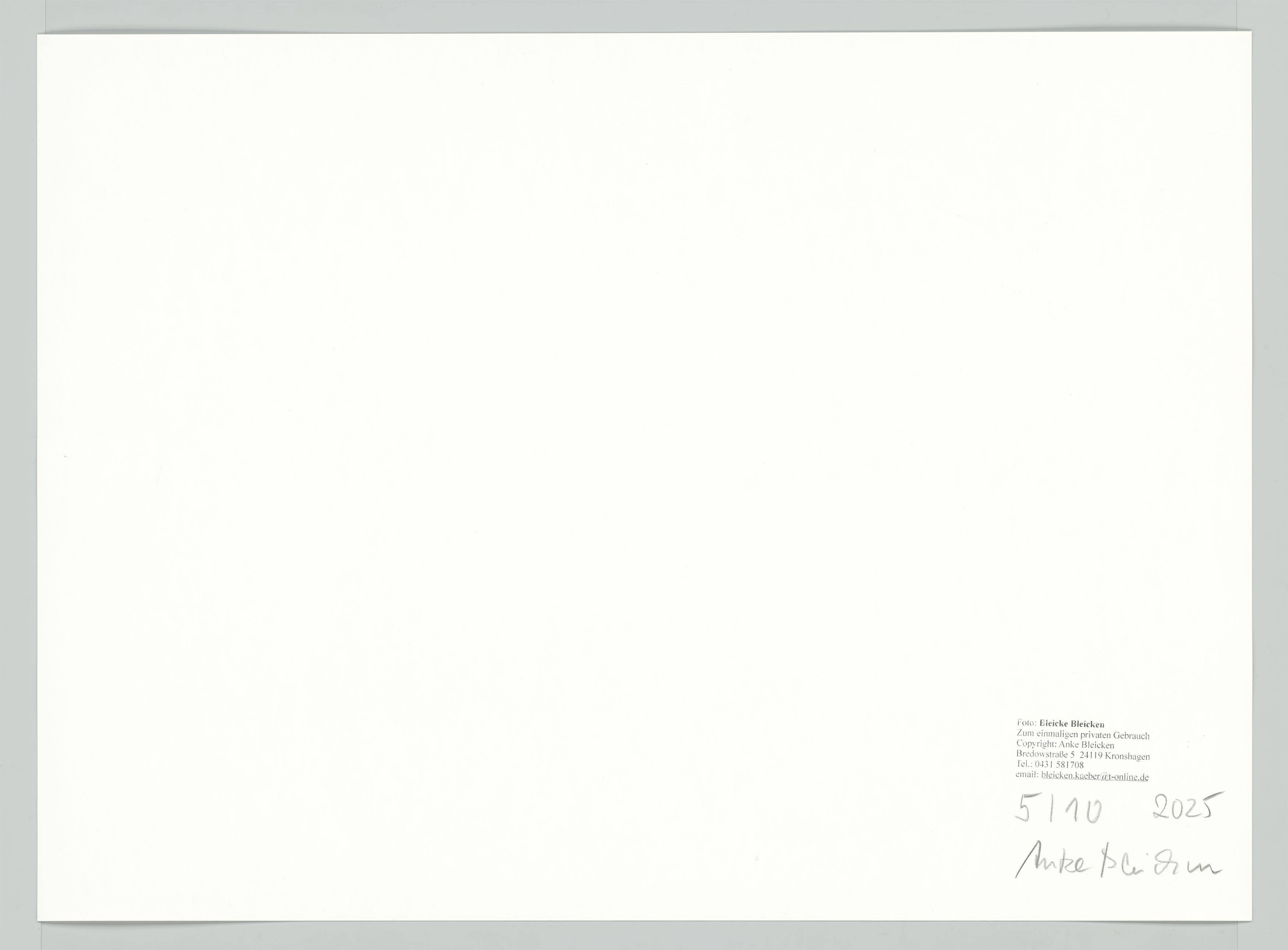 Auf diesem Bild ist das folgende Kunstwerk zu sehen: Bleicke Bleicken. Reiter in der Brandung, Kampen/Sylt. 1925.