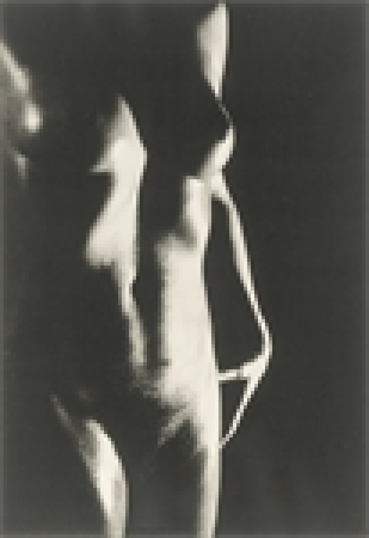 This picture shows the following artwork: Heinz Hajek-Halke. Heinz Hajek-Halke. Portfolio with 12 reprints from 1927–1960.