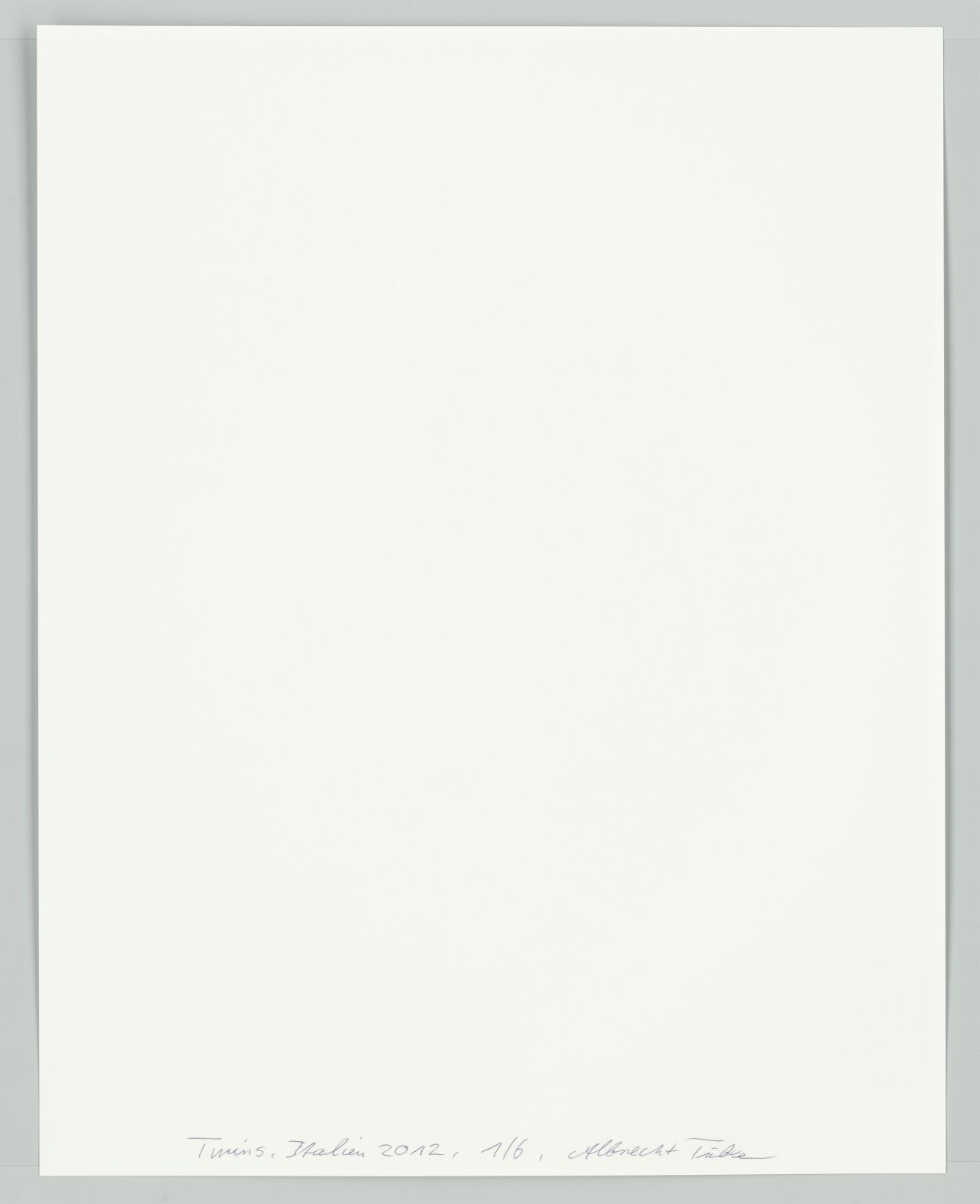 This picture shows the following artwork: Albrecht Tübke. Italy, from the series ”Twins”, 2000–2015. 2012.