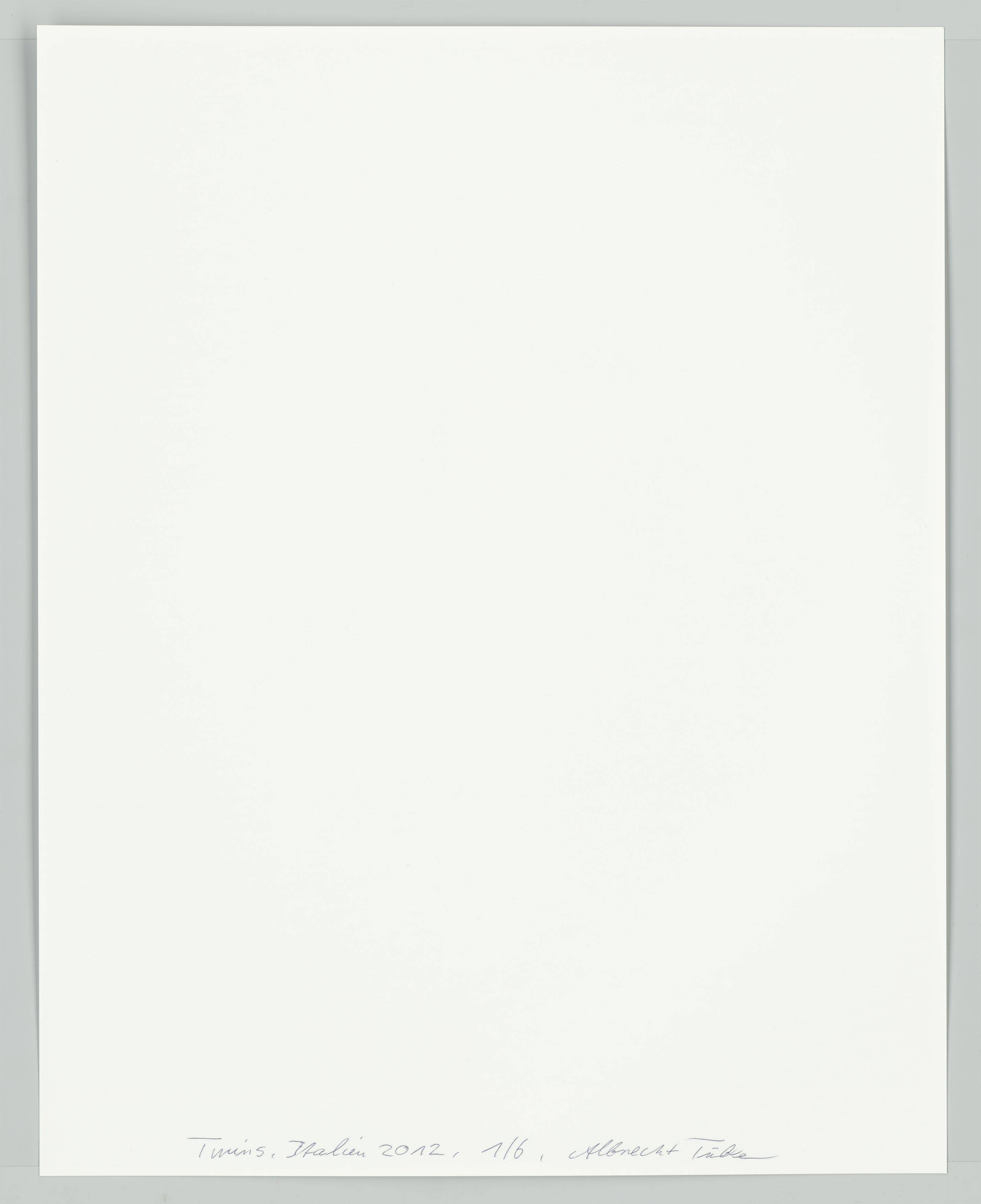 This picture shows the following artwork: Albrecht Tübke. Italy, from the series ”Twins”, 2000–2015. 2012.