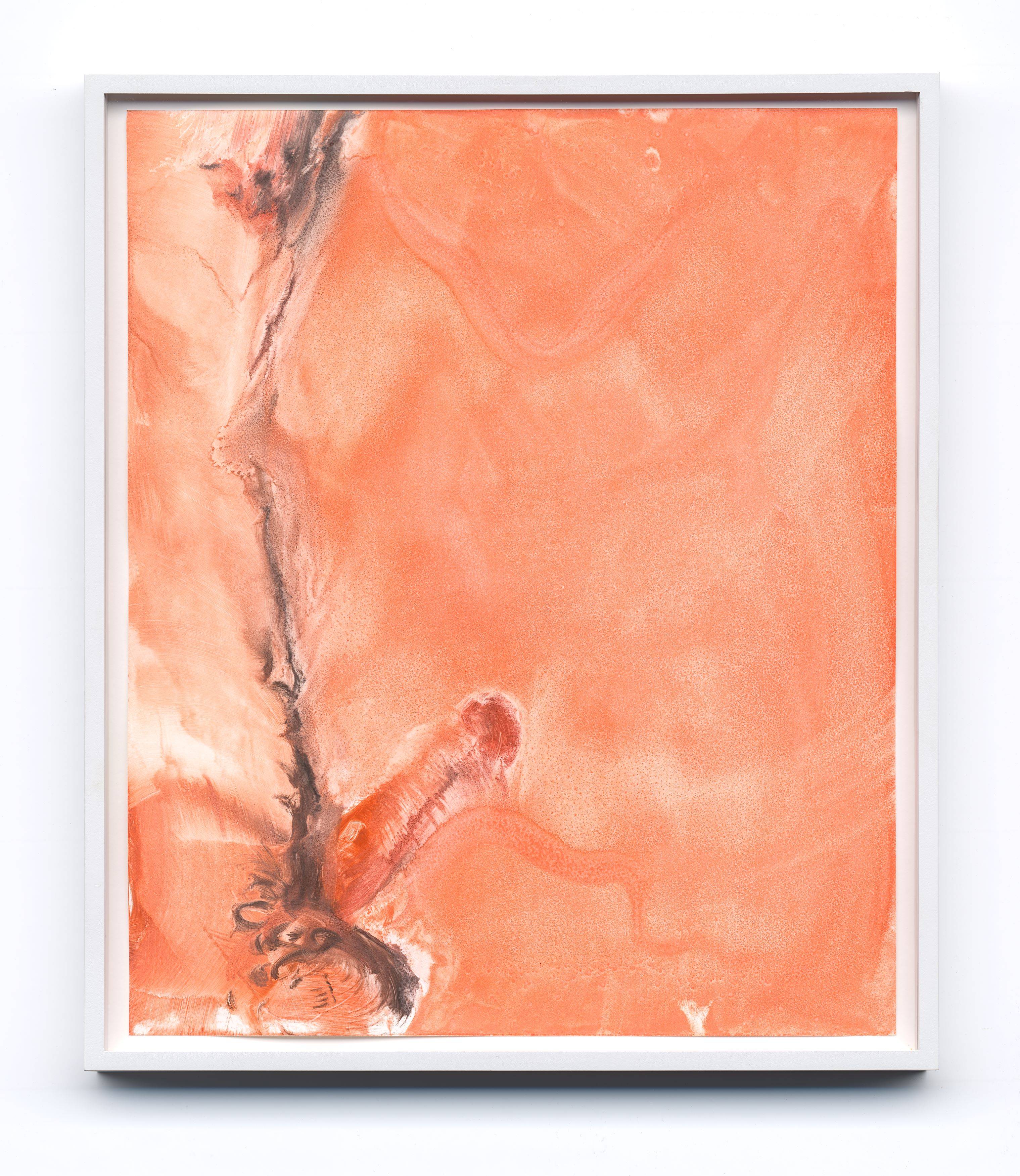 This picture shows the following artwork:  Portfolio. ”Printed Matter Photography Portfolio V: [Untitled/Nudes] Curated by Larry Clark”. 2004.