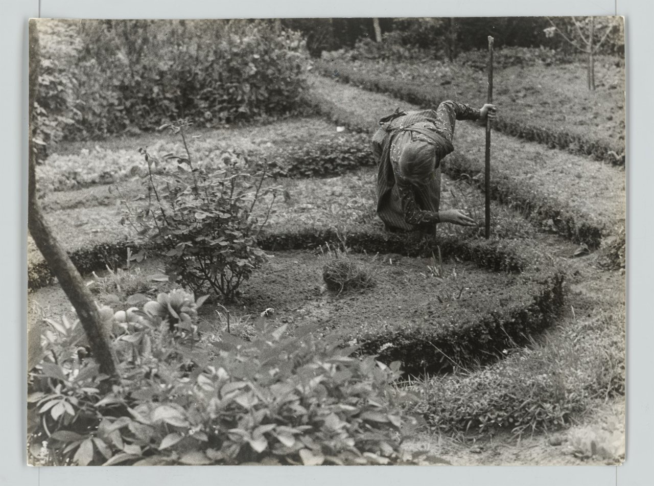 This picture shows the following artwork: Raoul Hausmann. ”The Gardener”. 1950.