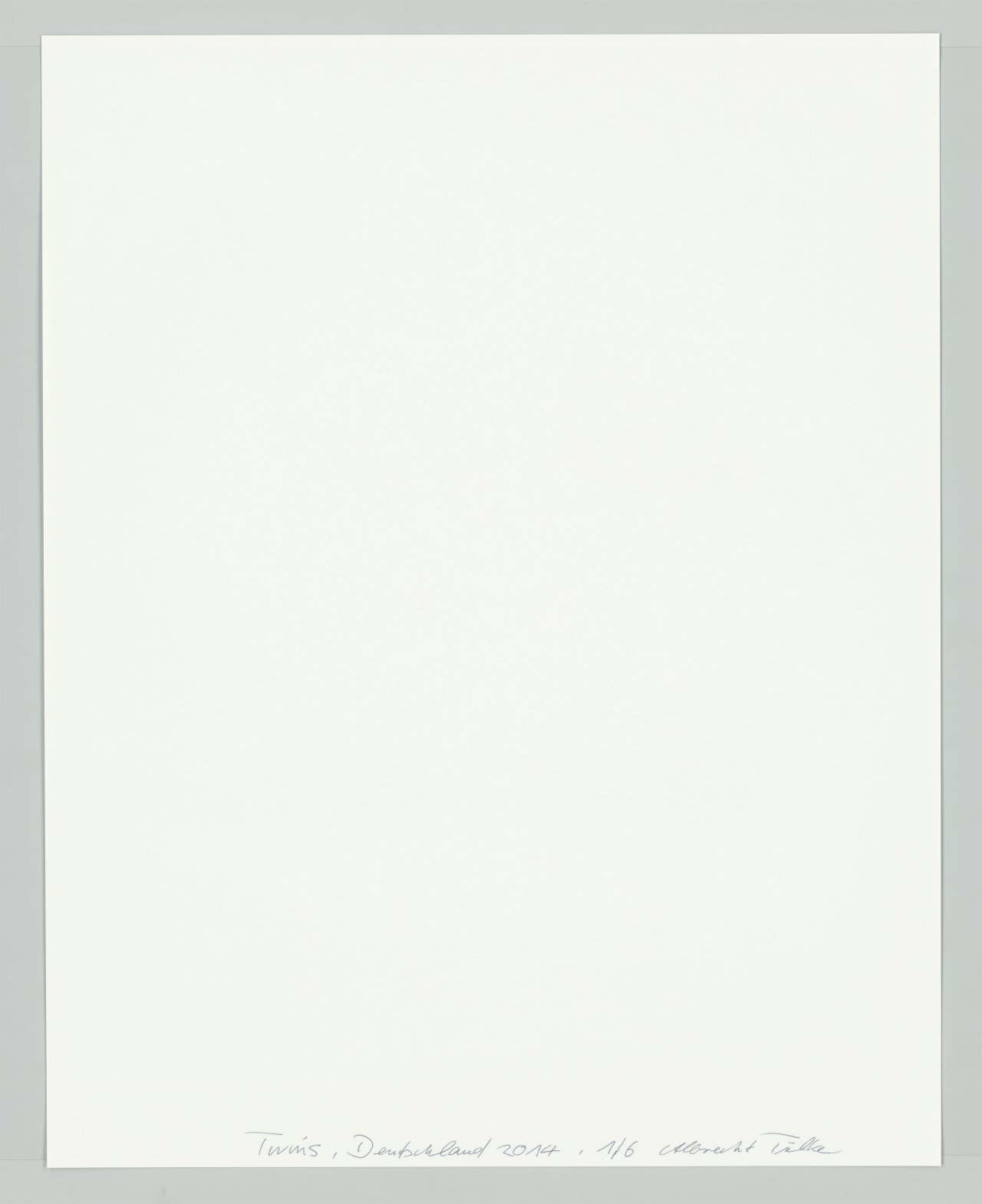 Auf diesem Bild ist das folgende Kunstwerk zu sehen: Albrecht Tübke. Deutschland, aus der Serie „Twins“, 2000–2015. 2014.