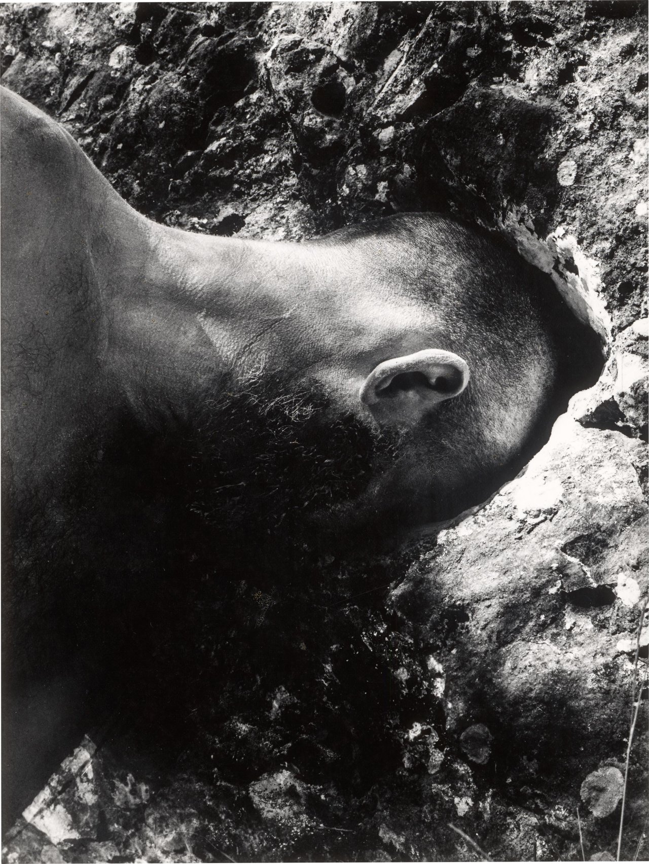 This picture shows the following artwork: Dieter Appelt. From the Tableau ”Oppedette”. 1980.