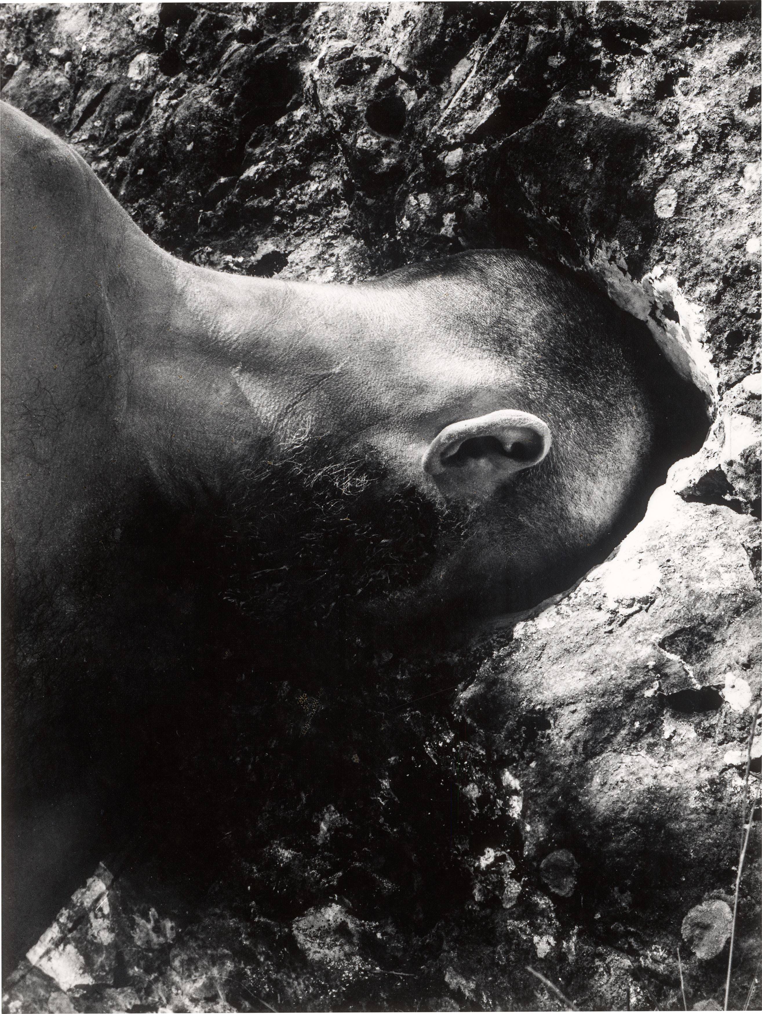This picture shows the following artwork: Dieter Appelt. From the Tableau ”Oppedette”. 1980.