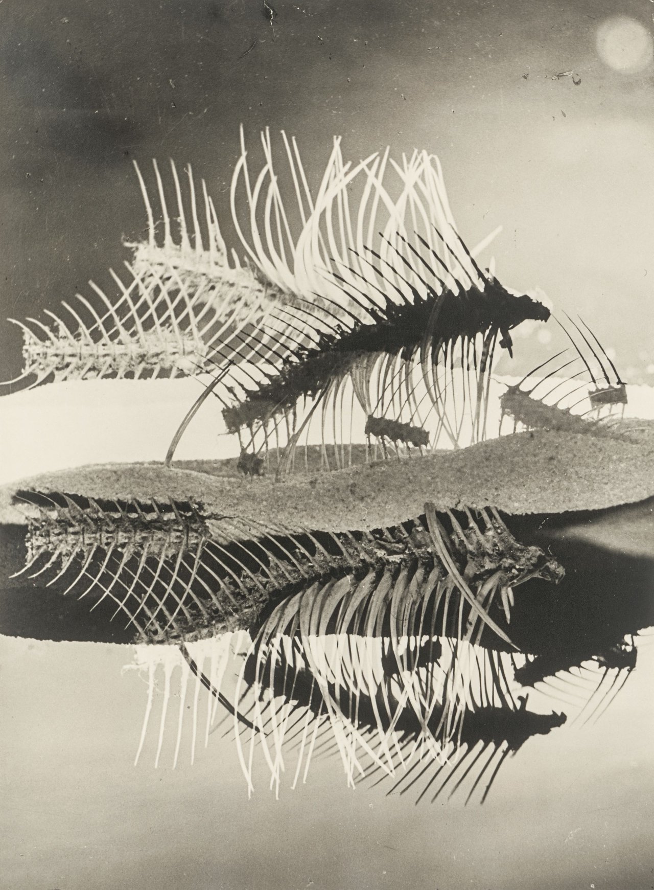 This picture shows the following artwork: Heinz Hajek-Halke. Heinz Hajek-Halke. Portfolio with 12 reprints from 1927–1960.