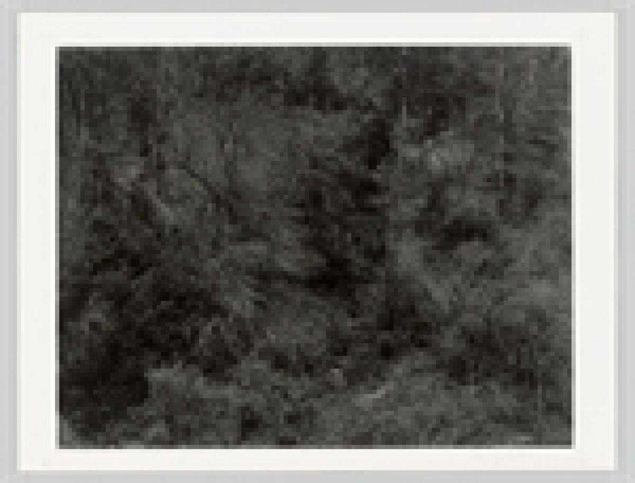 This picture shows the following artwork: Harry Callahan. Aix-en-Provence, France. 1957.