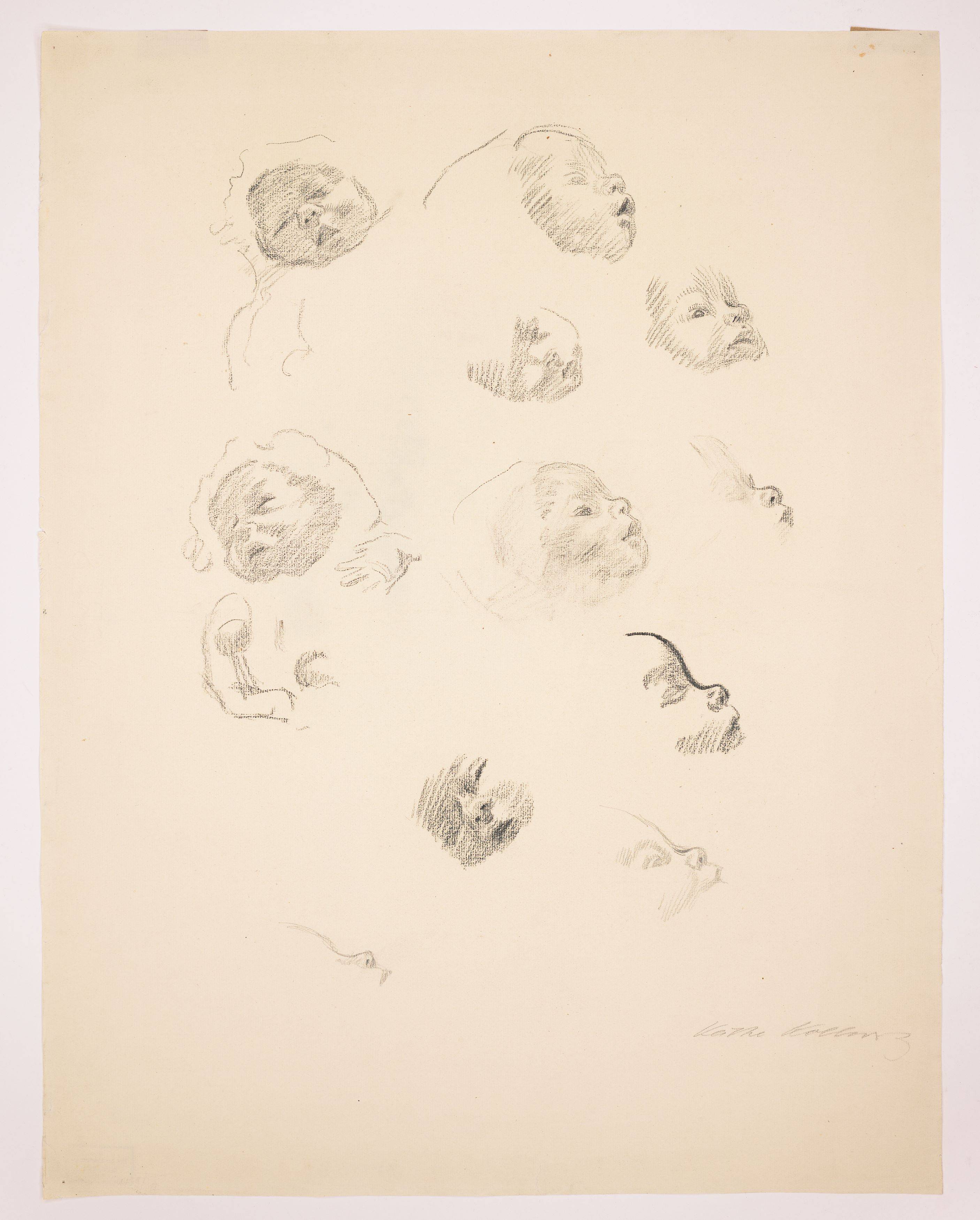 This picture shows the following artwork: Käthe Kollwitz. Head studies of an infant. 1920s.