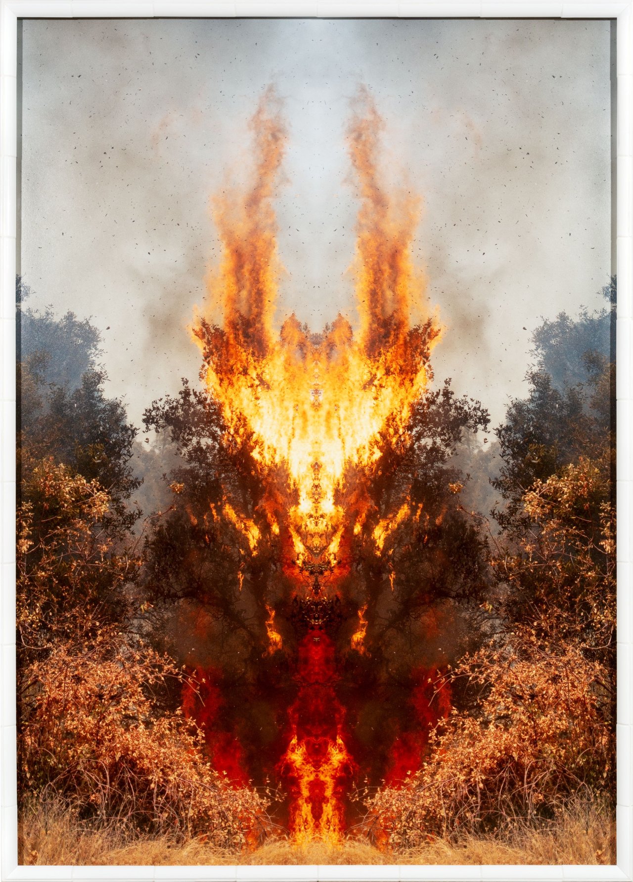 This picture shows the following artwork: Julius von Bismarck. ”FEUER MIT FEUER (TEST APPARAT #1)”. 2020.