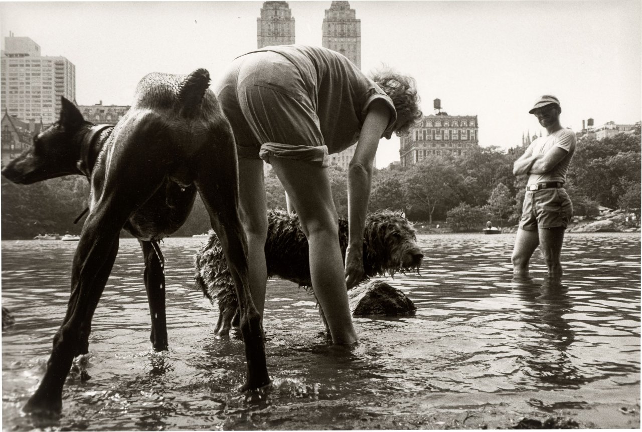 Auf diesem Bild ist das folgende Kunstwerk zu sehen: Ken Heyman. „Central Park, New York City“, aus der Serie „Hipshot“, 1984–1985.