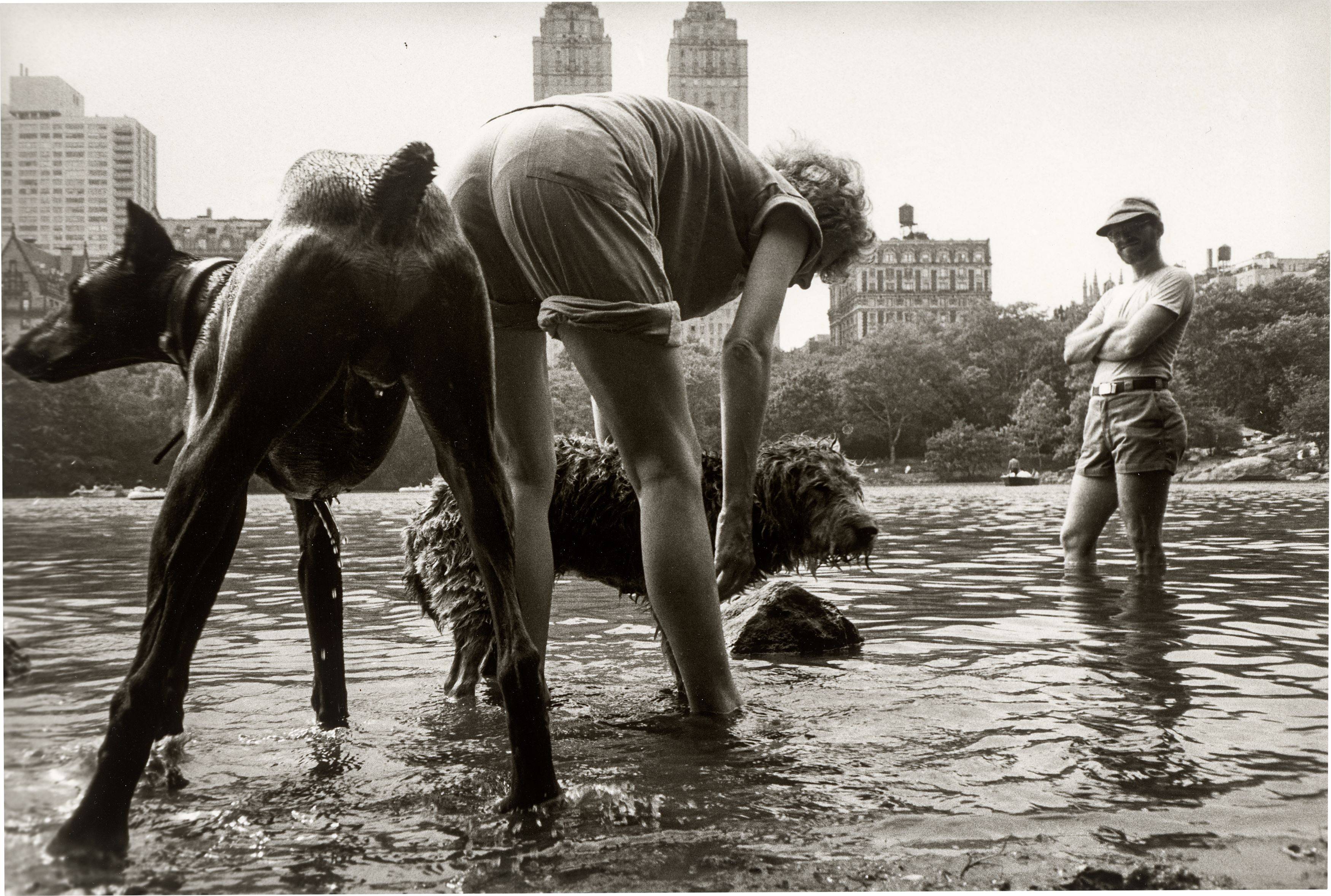 Auf diesem Bild ist das folgende Kunstwerk zu sehen: Ken Heyman. „Central Park, New York City“, aus der Serie „Hipshot“, 1984–1985.